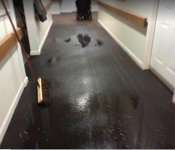 Water damaged commercial space; water on carpet in hallway