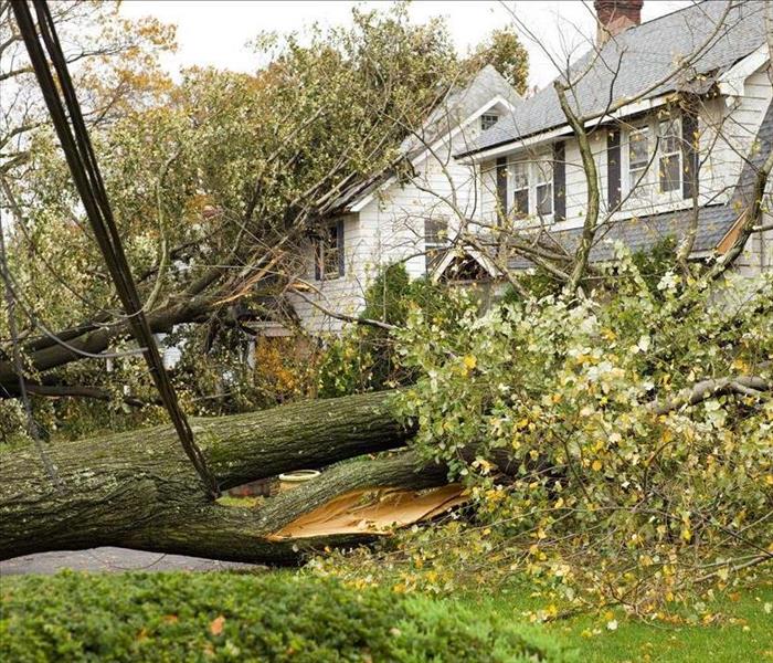 large tree down, damaging house after storm