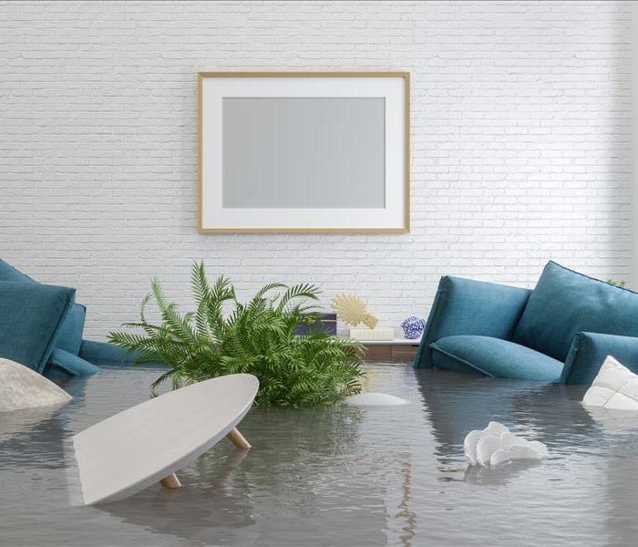 Standing water in a living room. 